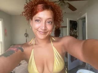 WebCAM of MollyPocket