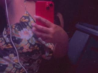 WebCAM de Shebaone